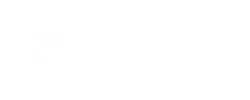 Client Website Logo