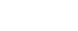 Client Website Logo